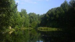 Площадка для воркаута в городе Арзамас №2148 Маленькая Советская фото